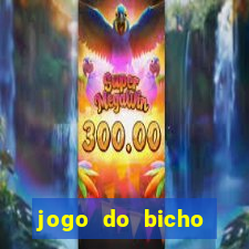 jogo do bicho crash bingo