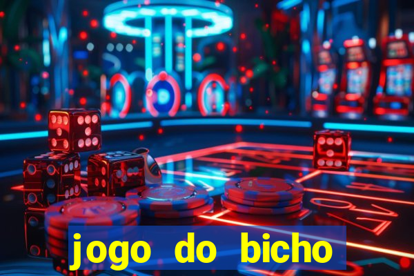 jogo do bicho crash bingo