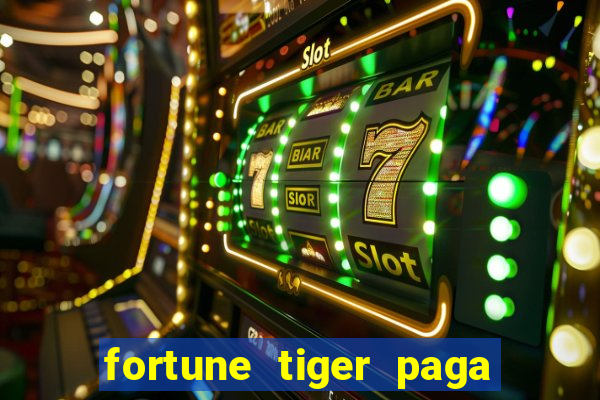 fortune tiger paga de madrugada