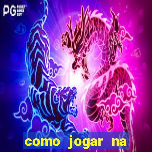 como jogar na seninha online