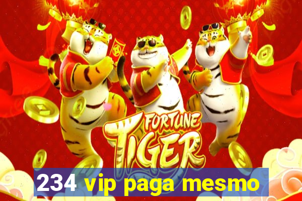 234 vip paga mesmo