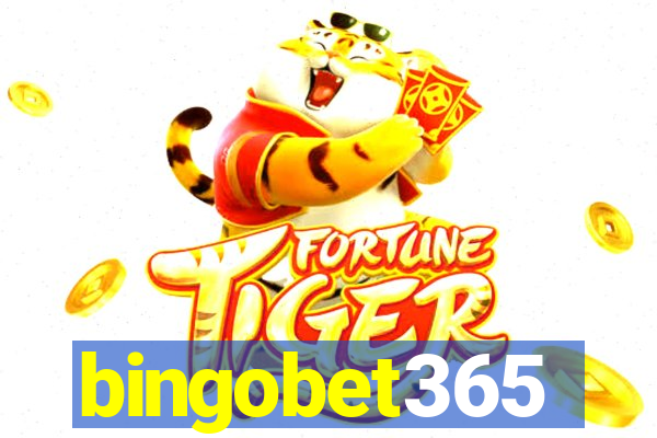 bingobet365