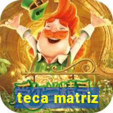 teca matriz