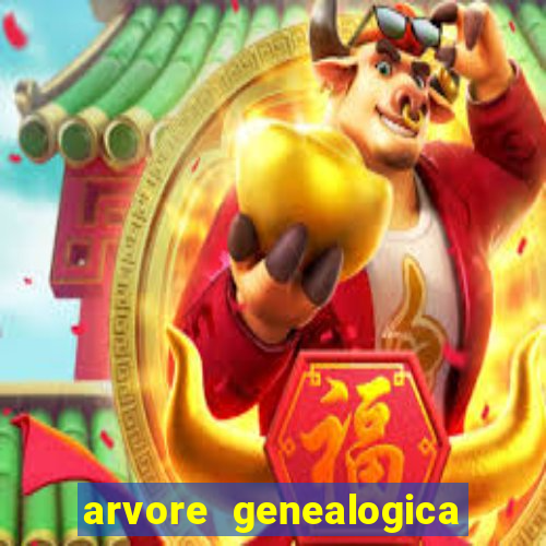 arvore genealogica dos gracie