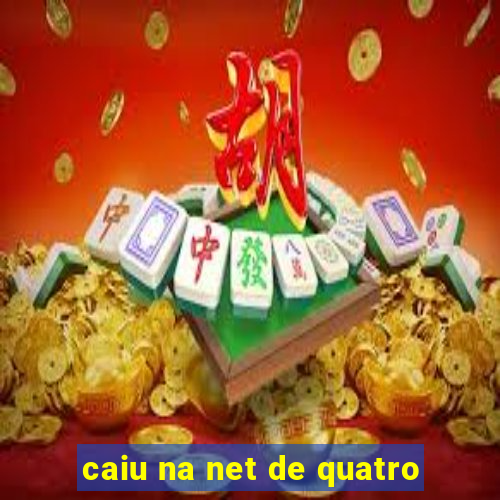 caiu na net de quatro