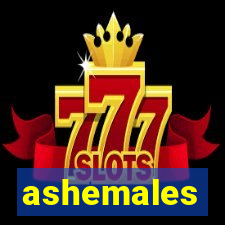 ashemales