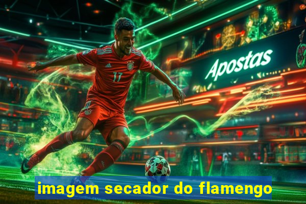 imagem secador do flamengo