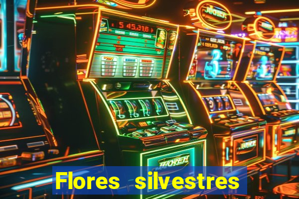 Flores silvestres brasileiras 25