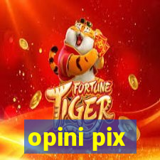 opini pix