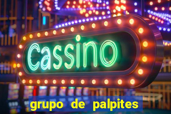 grupo de palpites de futebol whatsapp