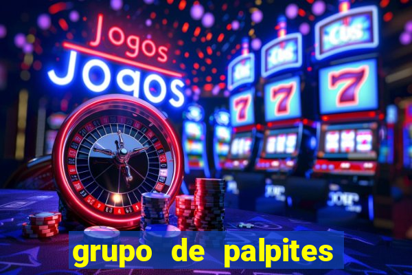 grupo de palpites de futebol whatsapp