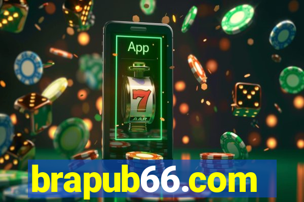 brapub66.com