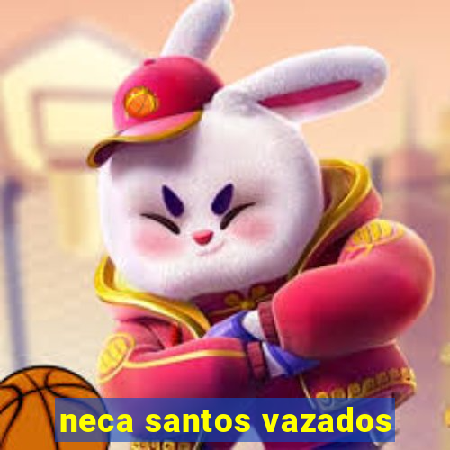 neca santos vazados