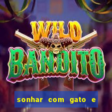 sonhar com gato e cachorro jogo do bicho