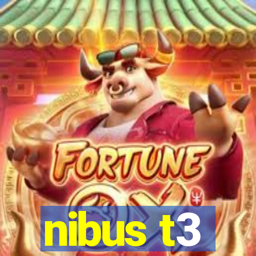 nibus t3