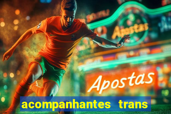 acompanhantes trans porto seguro