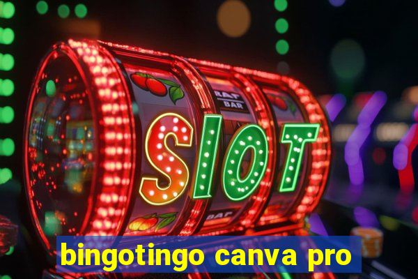 bingotingo canva pro