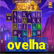 ovelha