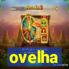 ovelha