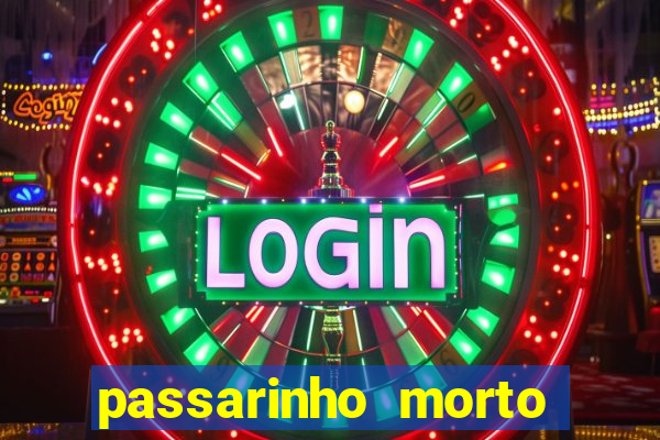 passarinho morto significado espiritual