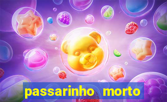 passarinho morto significado espiritual