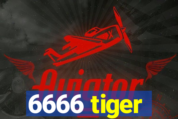 6666 tiger