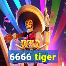 6666 tiger