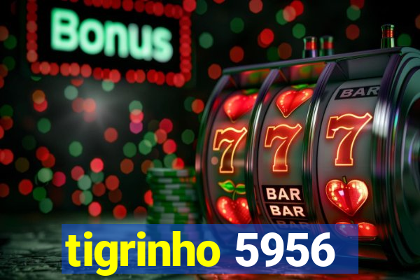 tigrinho 5956