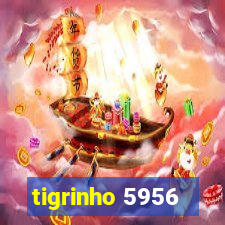 tigrinho 5956