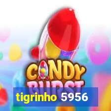 tigrinho 5956