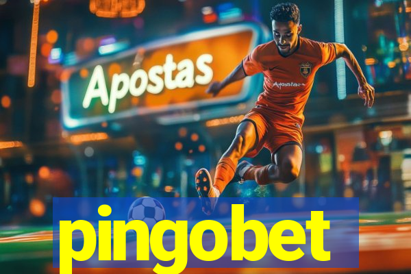 pingobet