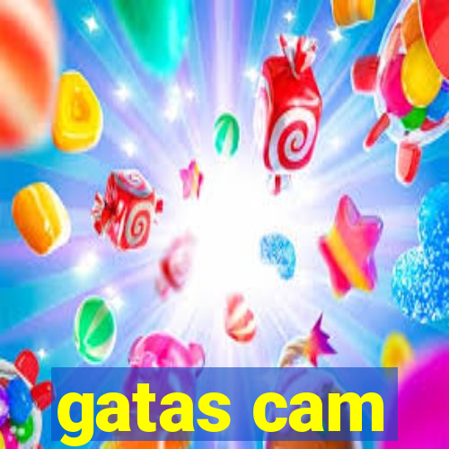 gatas cam