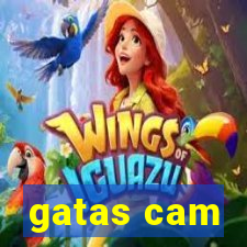 gatas cam