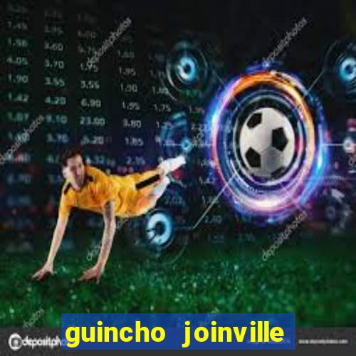 guincho joinville vila nova