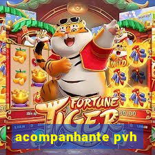 acompanhante pvh