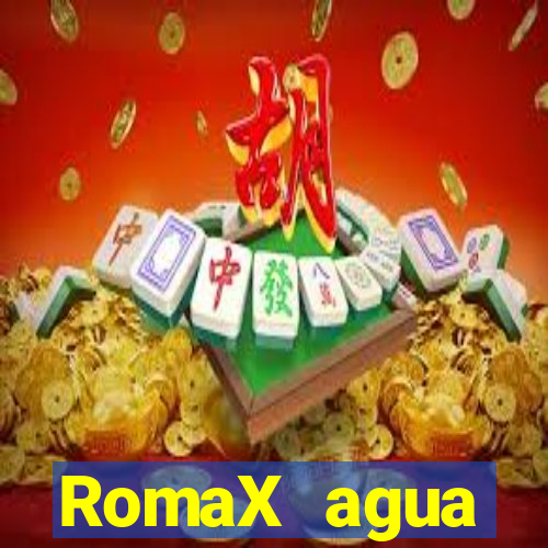 RomaX agua sanitaria fispq agua sanitaria romax