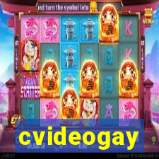 cvideogay