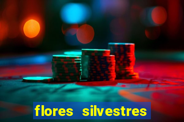 flores silvestres desbravadores desbravadores 25 flores silvestres e seus nomes