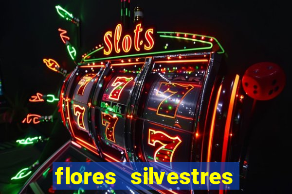 flores silvestres desbravadores desbravadores 25 flores silvestres e seus nomes