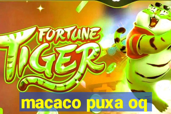 macaco puxa oq