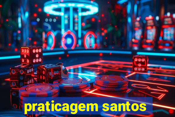 praticagem santos