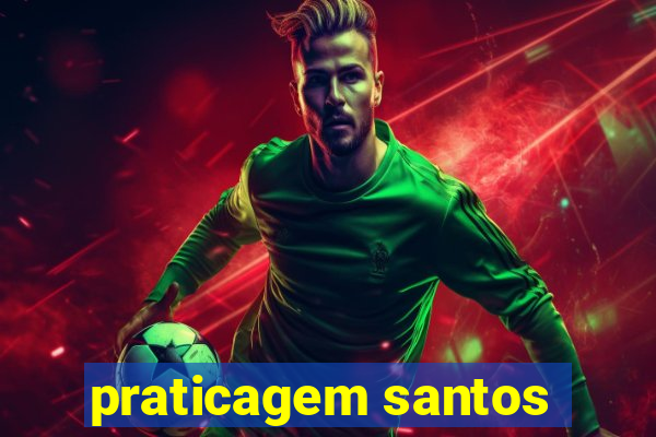 praticagem santos