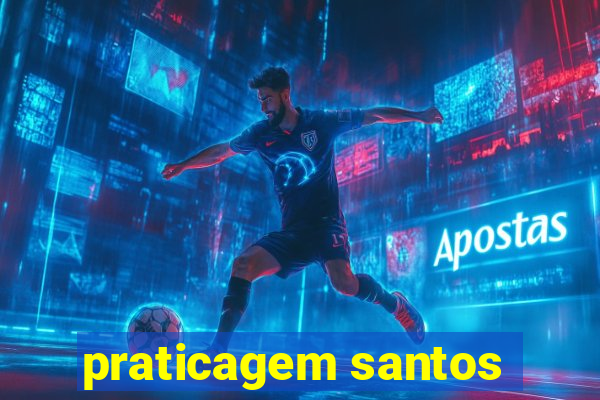 praticagem santos