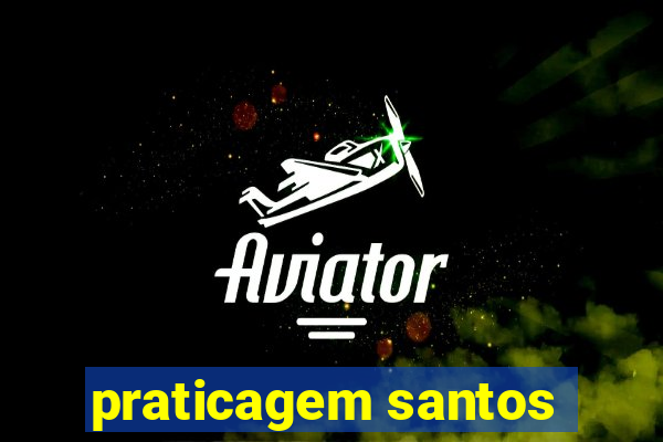 praticagem santos