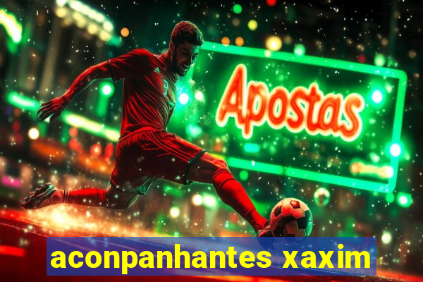 aconpanhantes xaxim