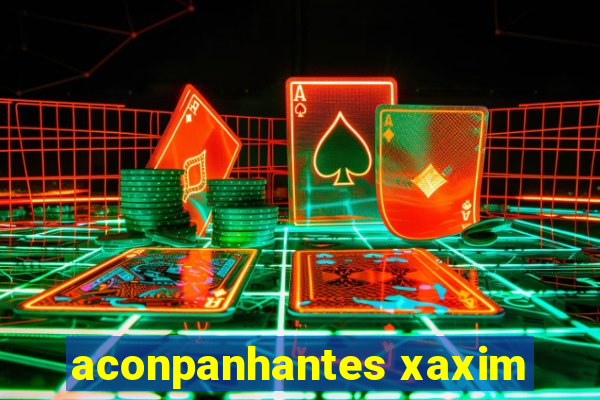 aconpanhantes xaxim