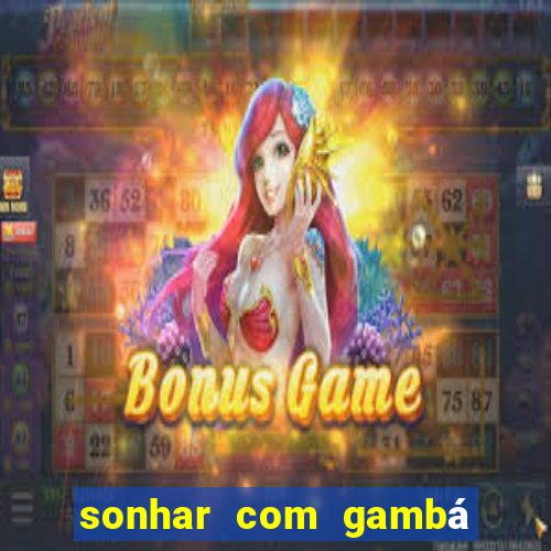 sonhar com gambá jogo do bicho