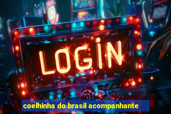 coelhinha do brasil acompanhante