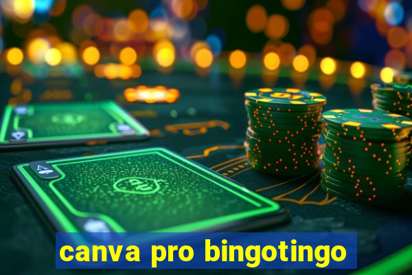 canva pro bingotingo