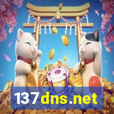 137dns.net